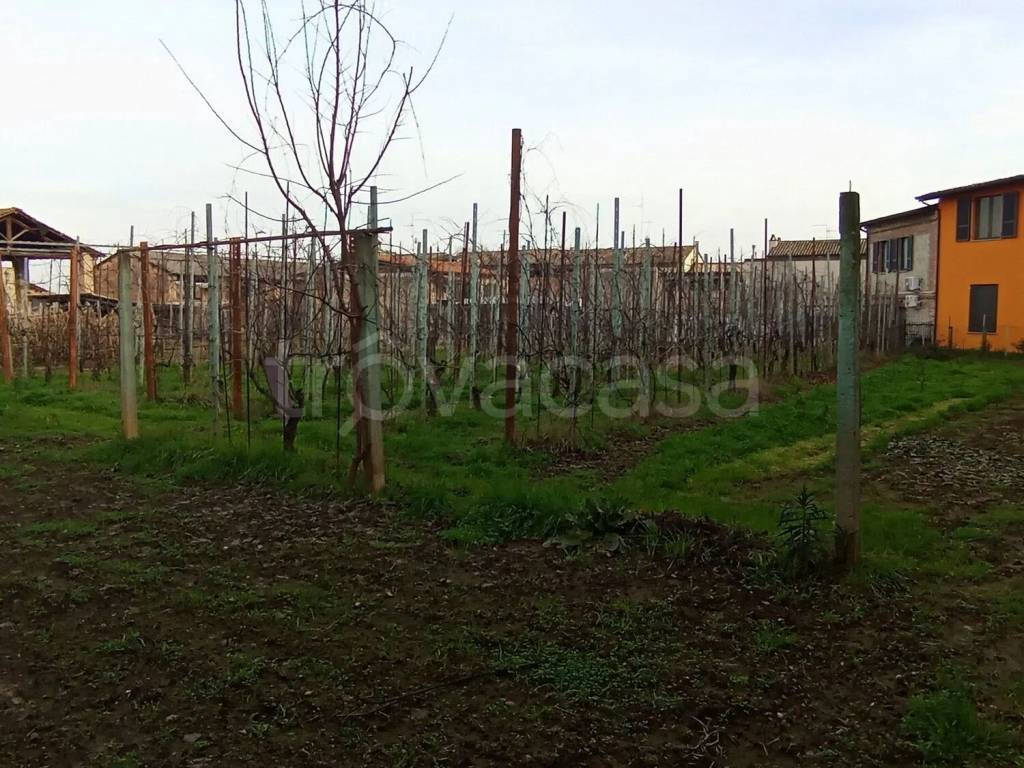 immagine annuncio 2 di 9