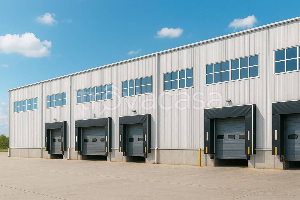 immagine annuncio 6 di 12