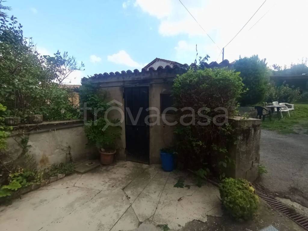 immagine annuncio 3 di 8