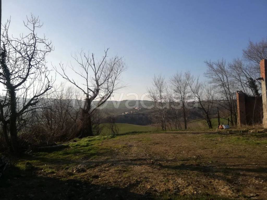 immagine annuncio 5 di 7