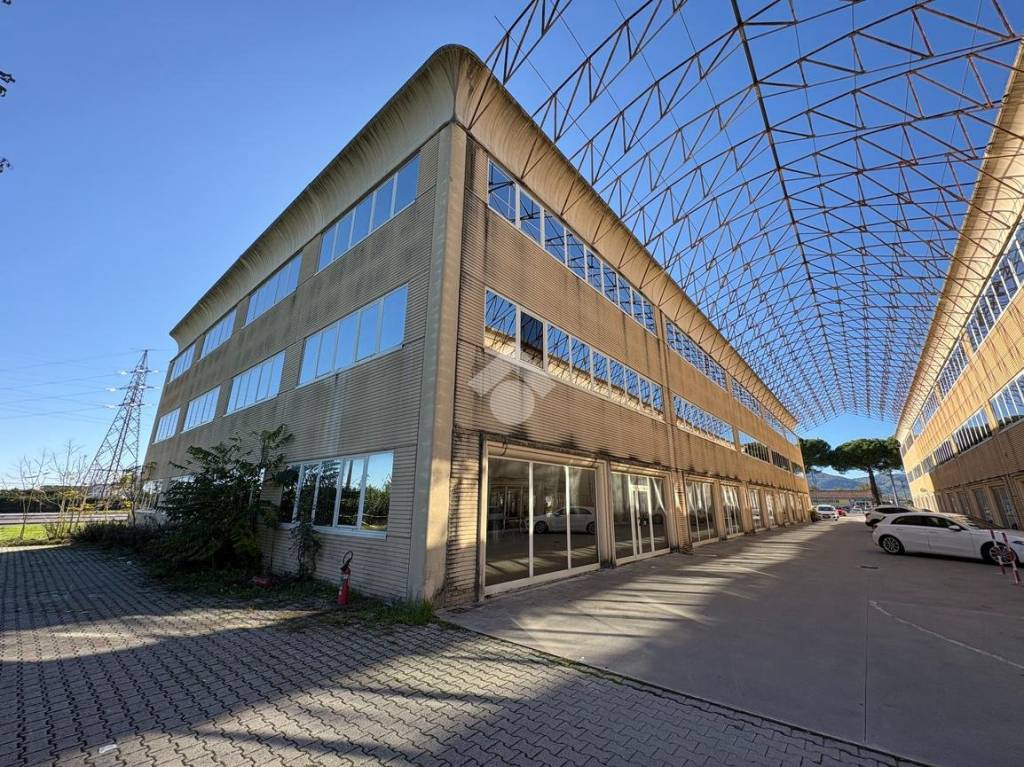 immagine annuncio 2 di 12