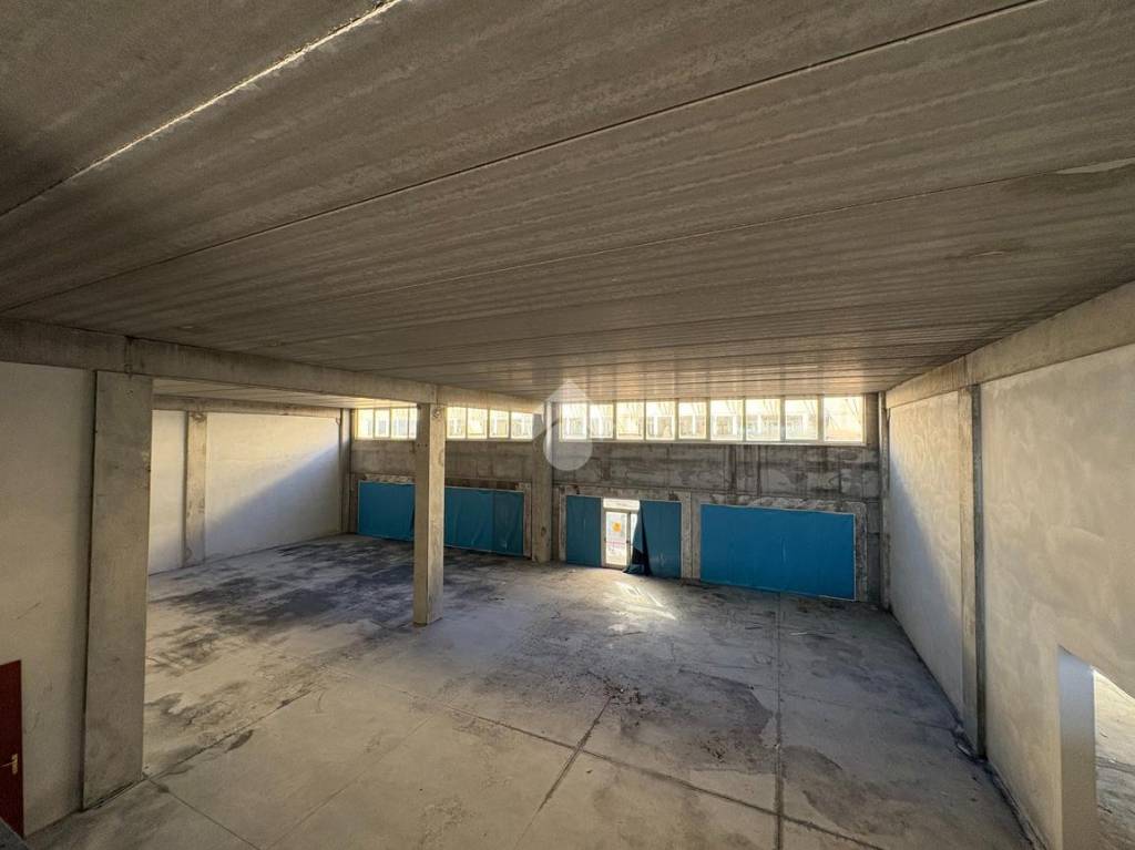 immagine annuncio 5 di 12