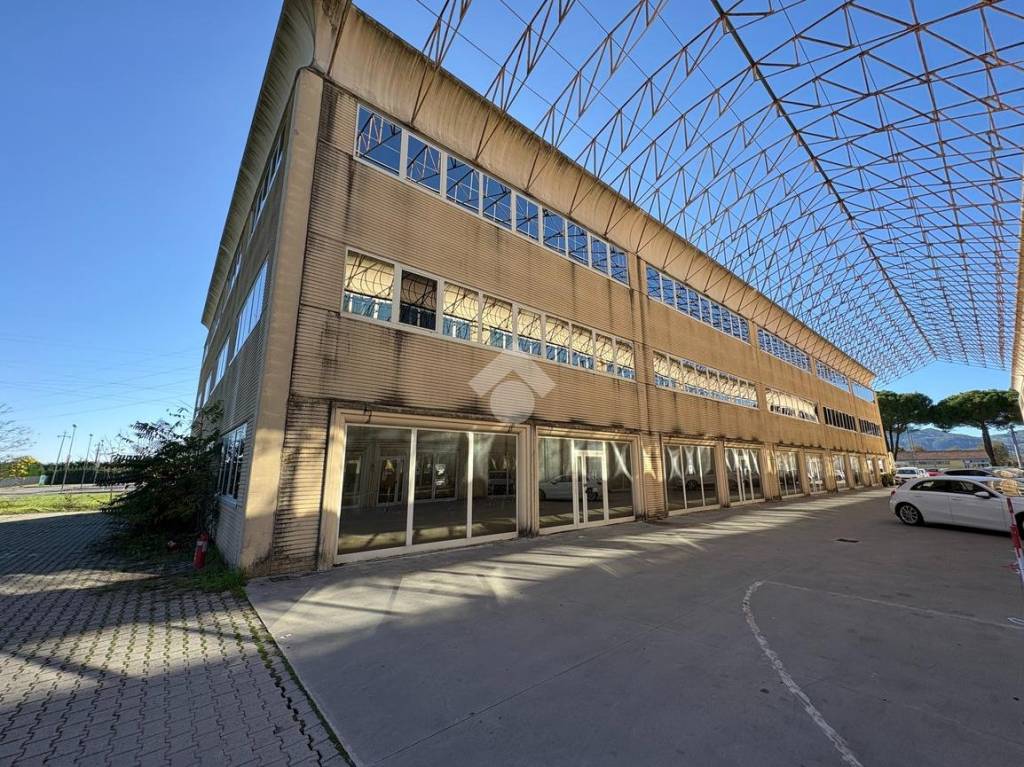 immagine annuncio 9 di 12