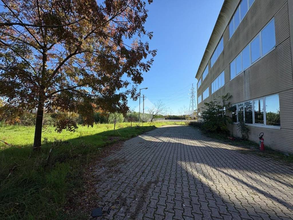 immagine annuncio 10 di 12