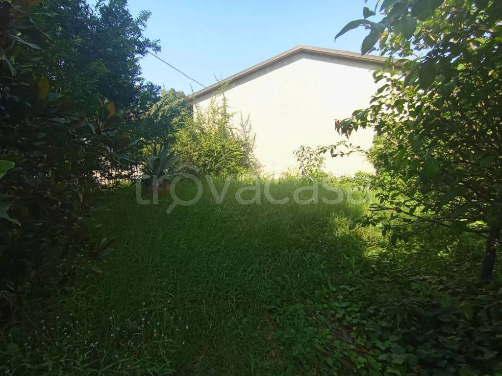 immagine annuncio 3 di 13