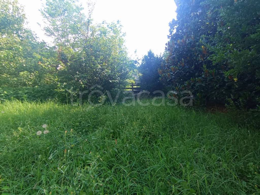 immagine annuncio 4 di 13