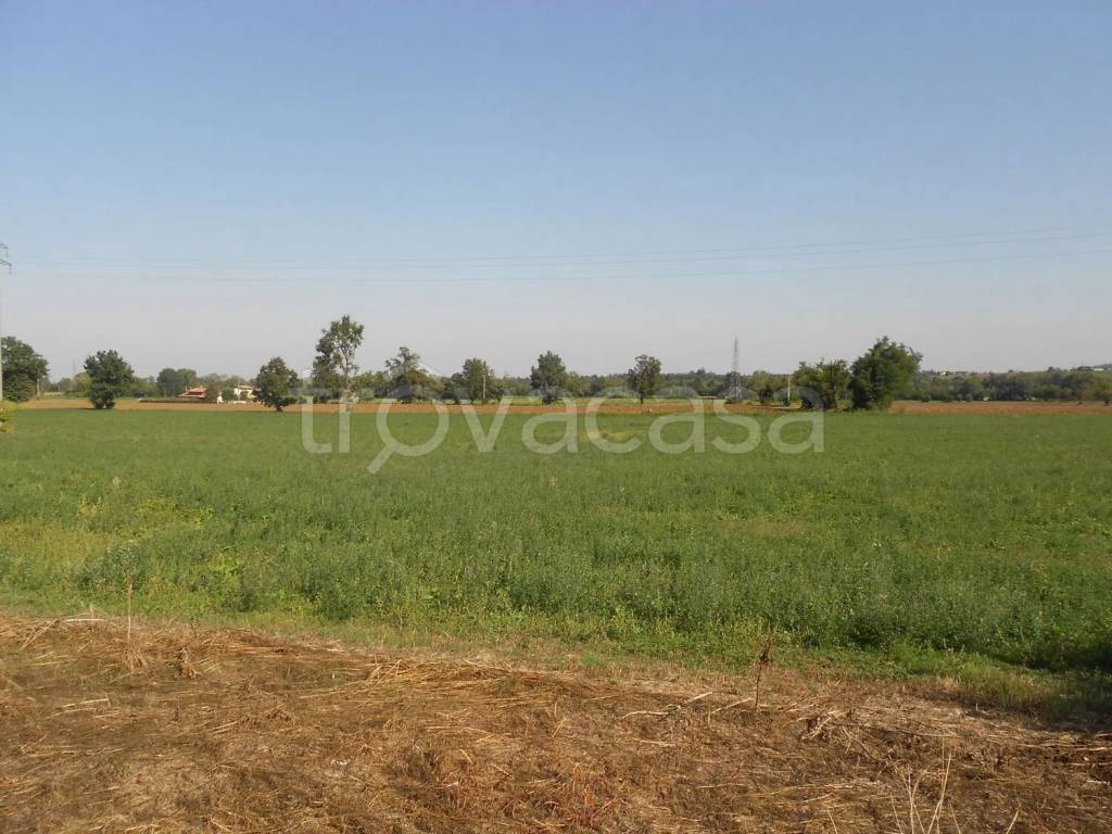 immagine annuncio 5 di 8