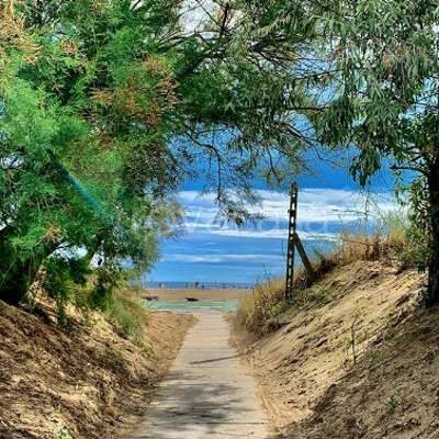 immagine annuncio 4 di 13