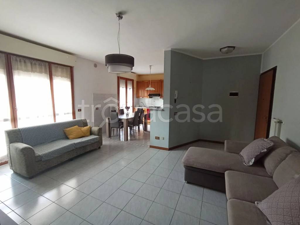 immagine annuncio 1 di 12