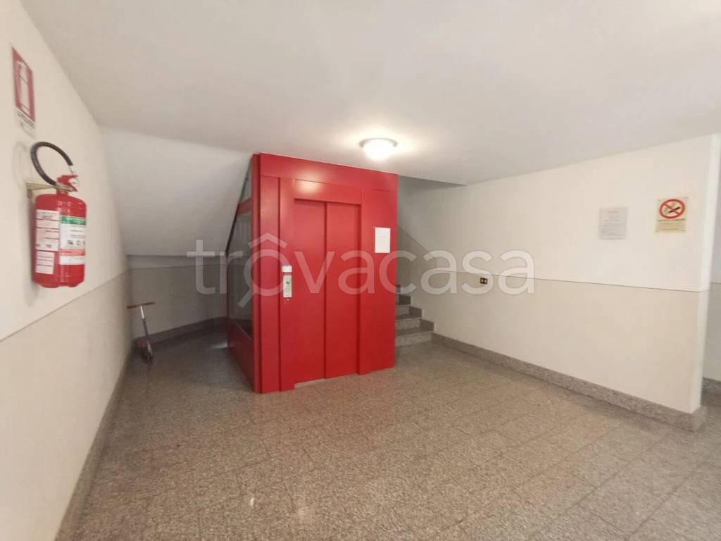 immagine annuncio 10 di 12