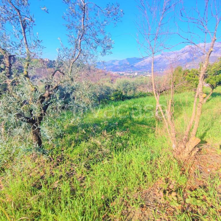 immagine annuncio 4 di 11