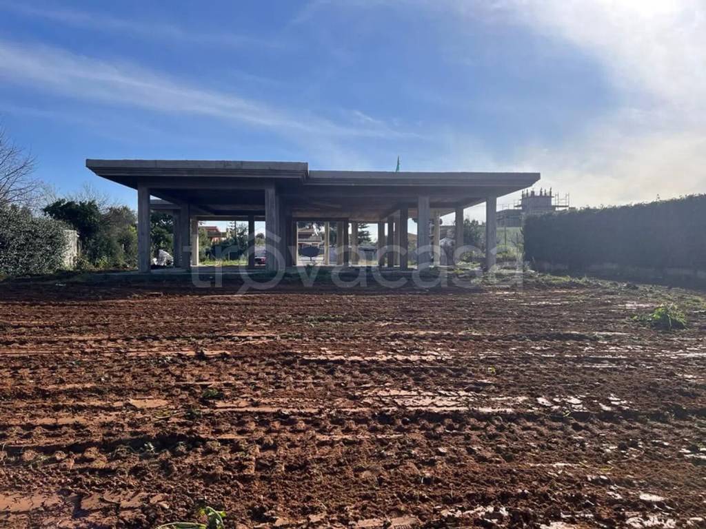 immagine annuncio 3 di 8