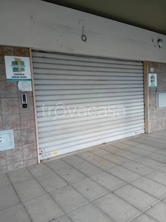 immagine annuncio 2 di 12