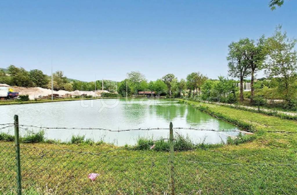 immagine annuncio 4 di 11