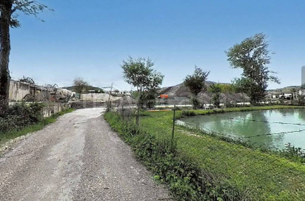 immagine annuncio 5 di 11