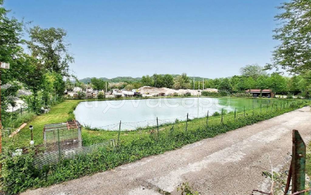 immagine annuncio 6 di 11