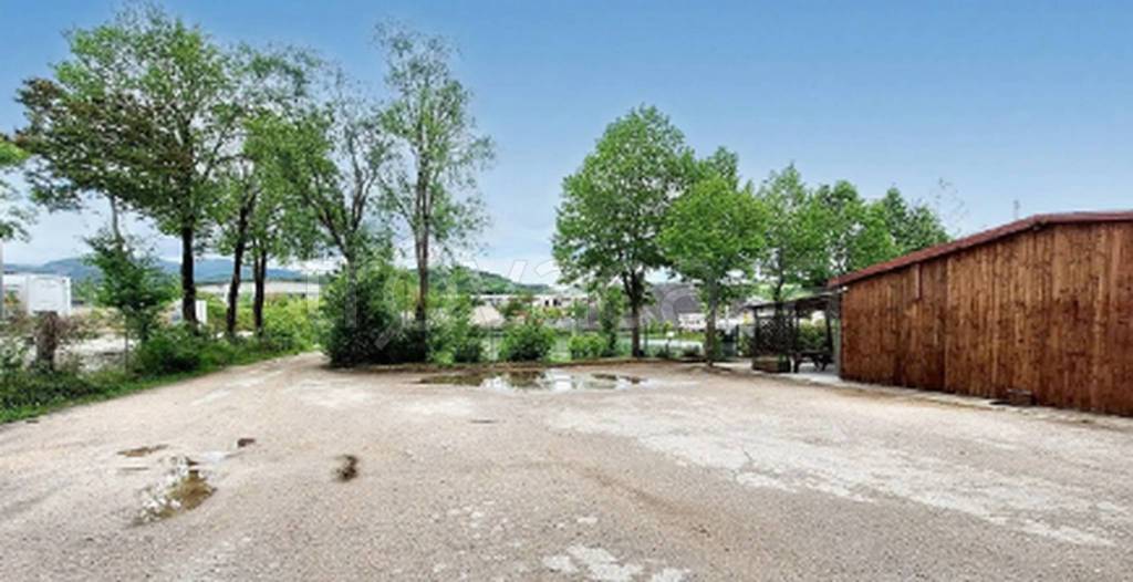 immagine annuncio 7 di 11