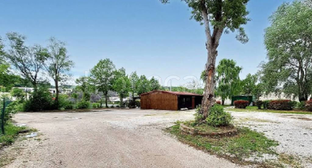 immagine annuncio 10 di 11