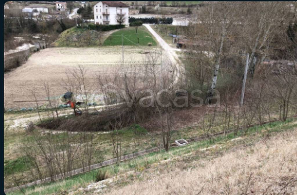 immagine annuncio 2 di 13