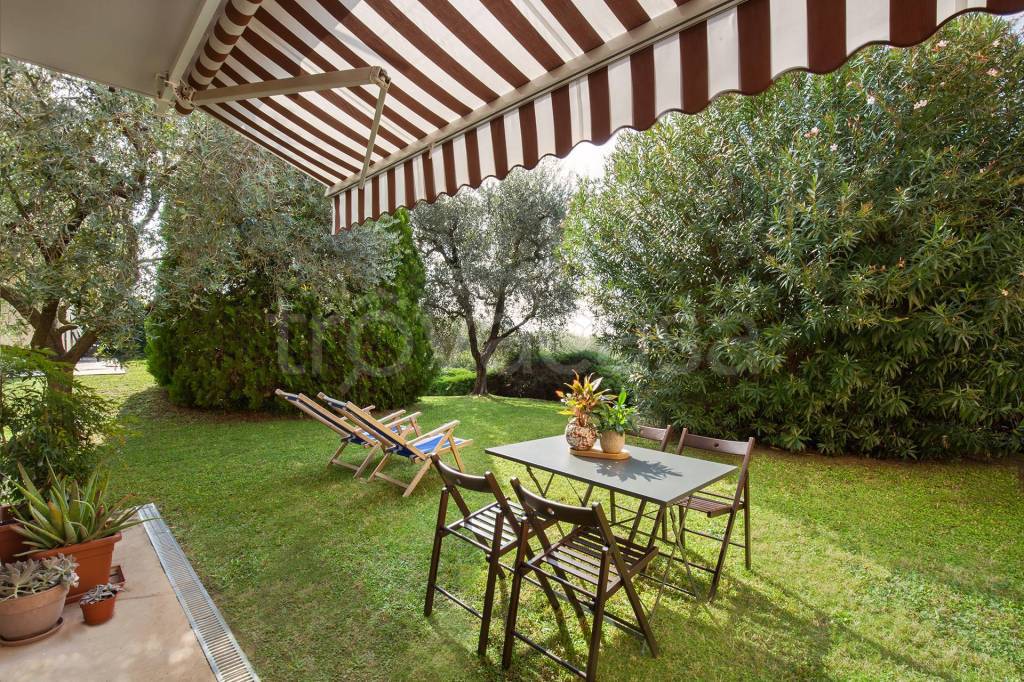 immagine annuncio 3 di 14