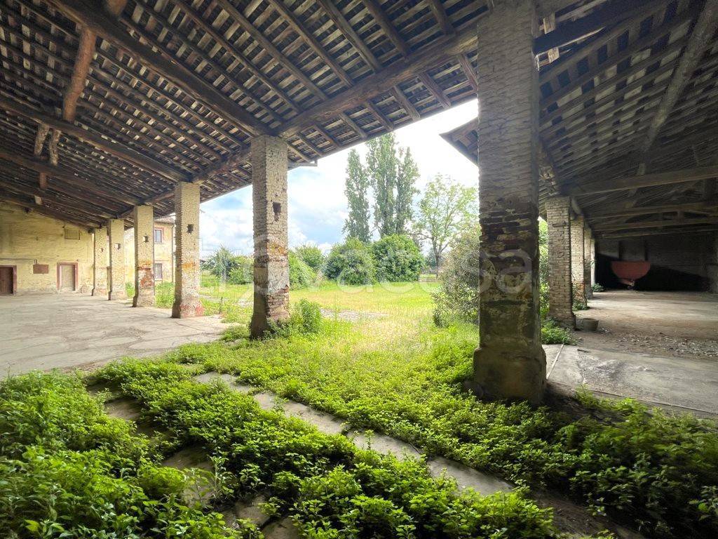 immagine annuncio 5 di 11