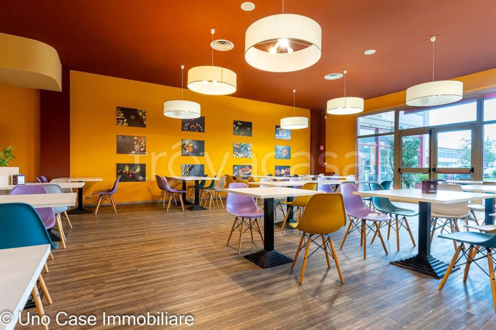 immagine annuncio 12 di 14