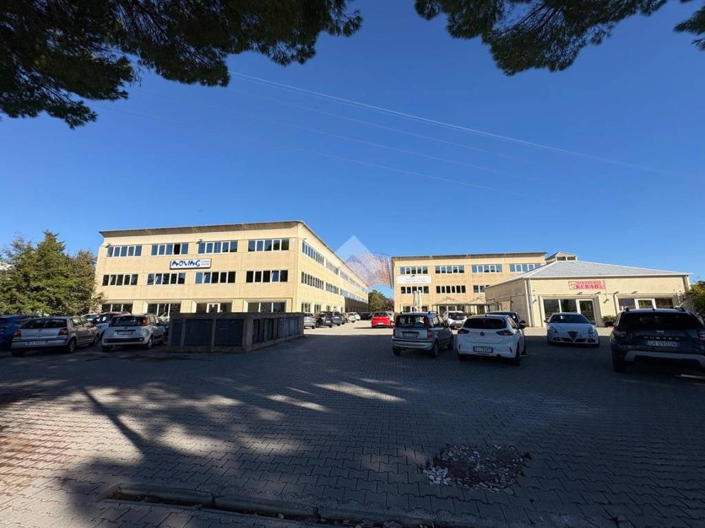 immagine annuncio 1 di 14