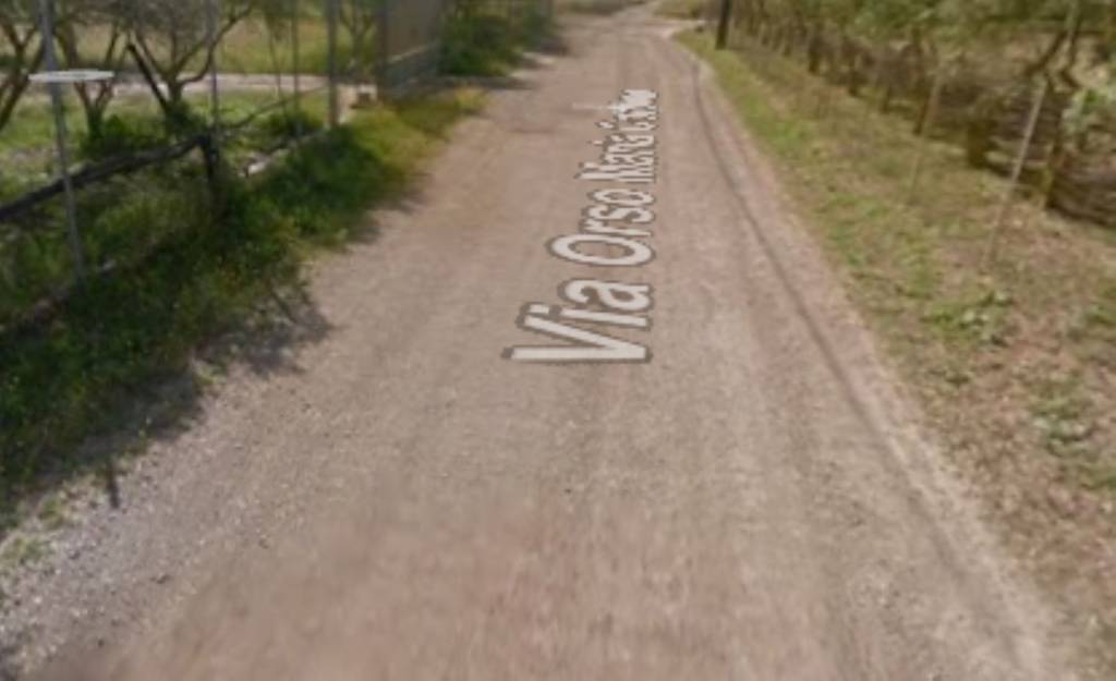 immagine annuncio 1 di 11