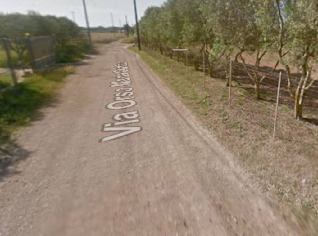 immagine annuncio 3 di 11