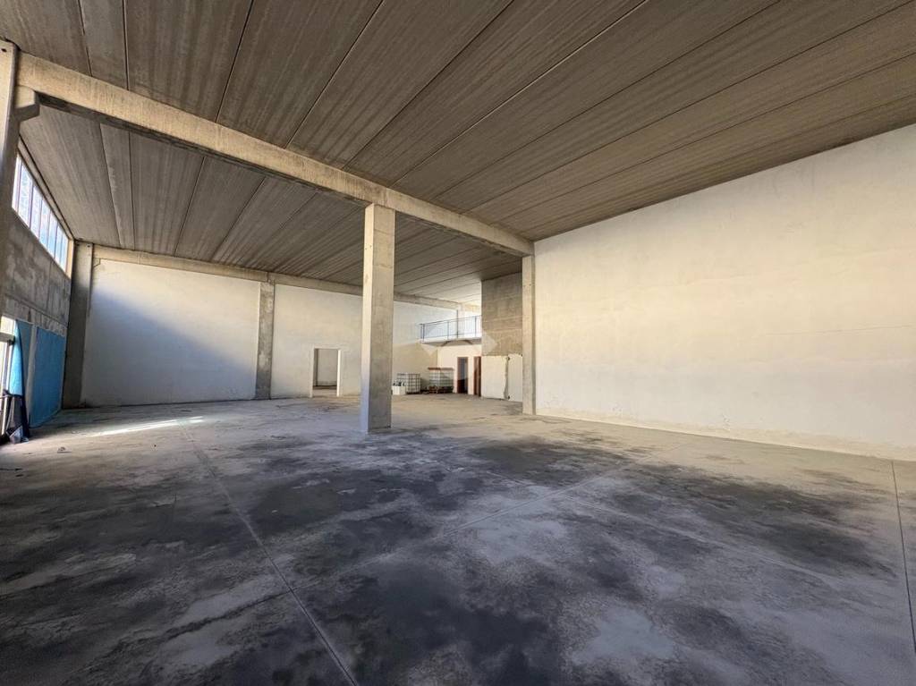 immagine annuncio 4 di 14