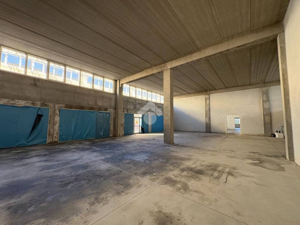 immagine annuncio 5 di 14