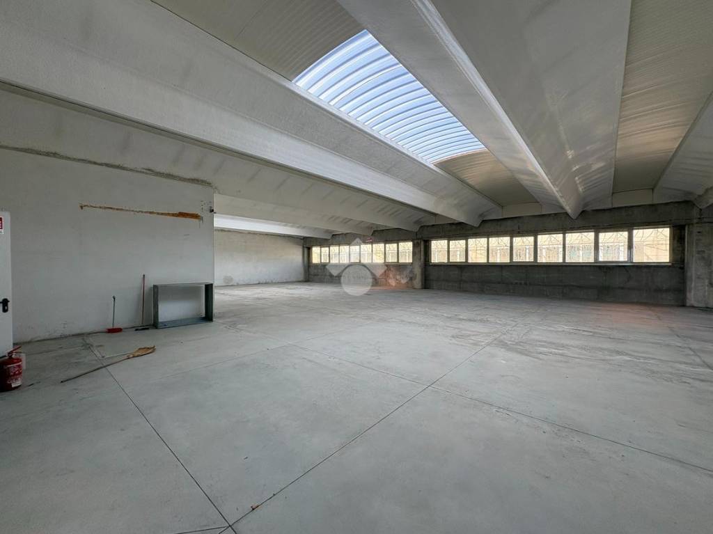 immagine annuncio 10 di 14