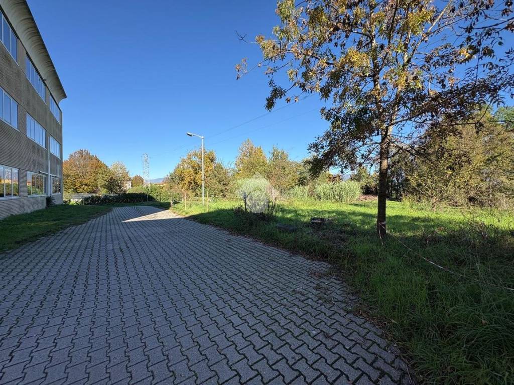 immagine annuncio 12 di 14