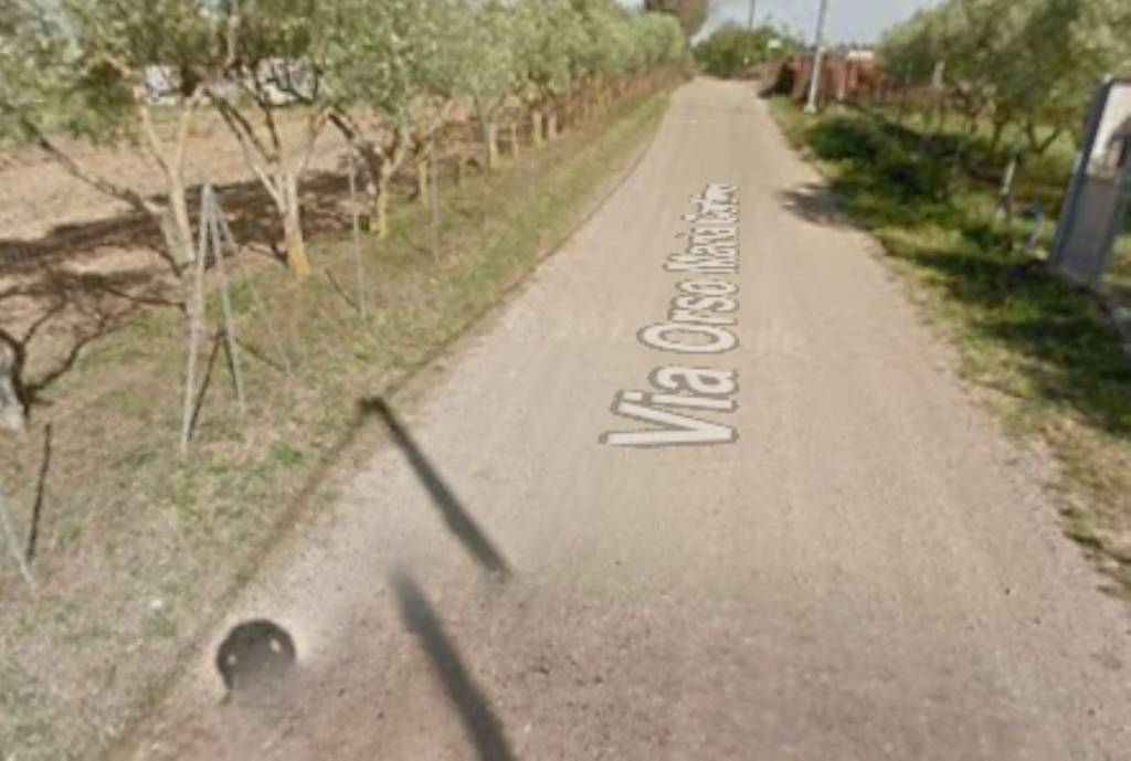 immagine annuncio 6 di 11