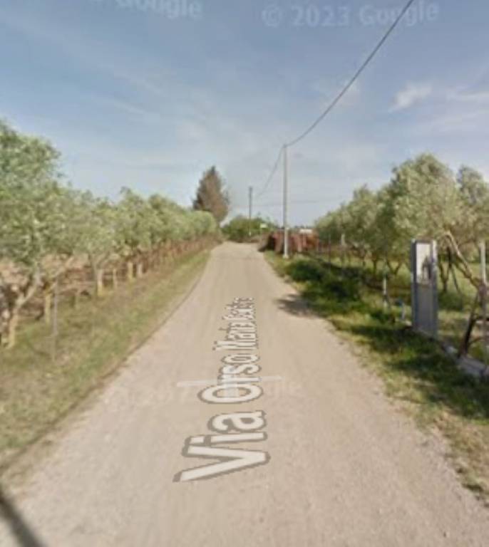 immagine annuncio 7 di 11