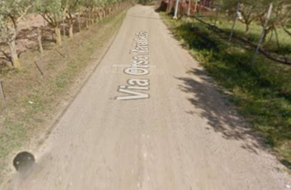 immagine annuncio 8 di 11