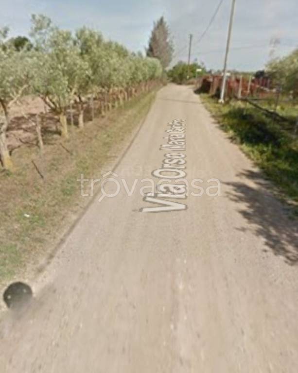 immagine annuncio 9 di 11