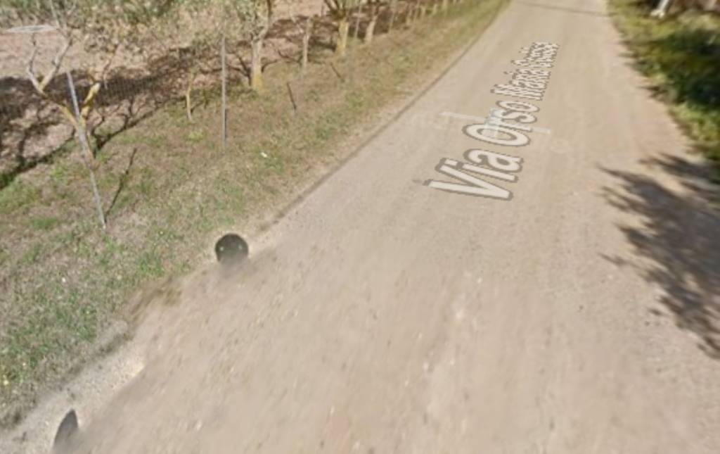 immagine annuncio 10 di 11