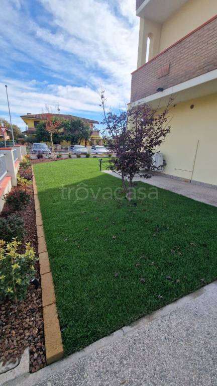 immagine annuncio 10 di 12