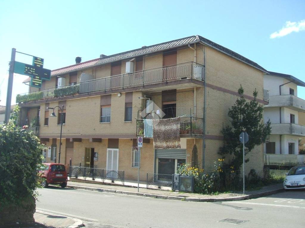 immagine annuncio 8 di 14