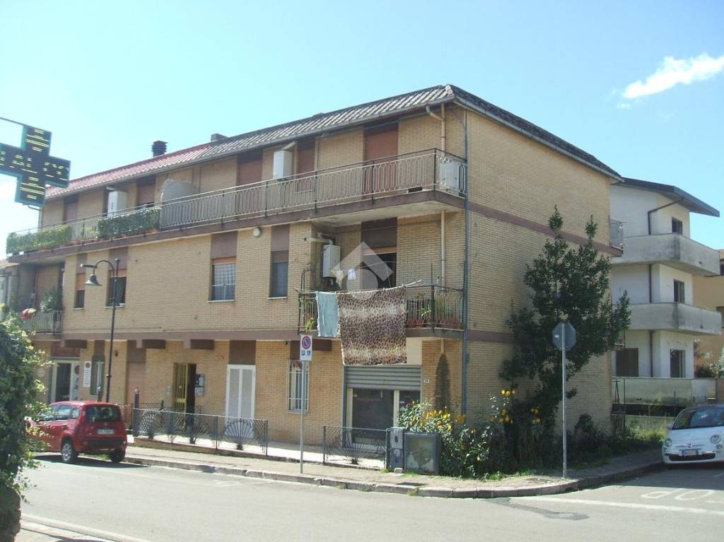 immagine annuncio 10 di 14