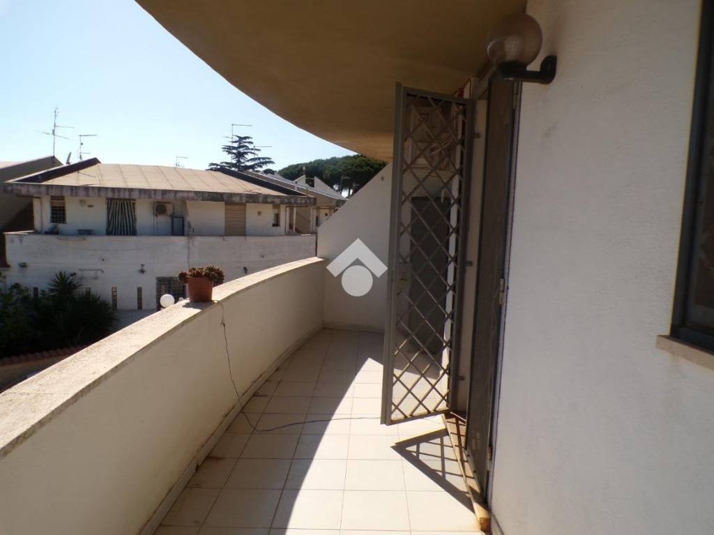 immagine annuncio 5 di 7