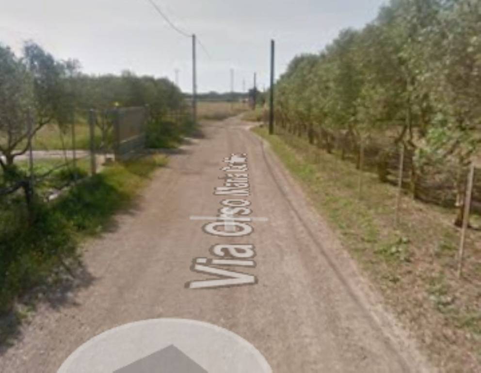 immagine annuncio 1 di 11