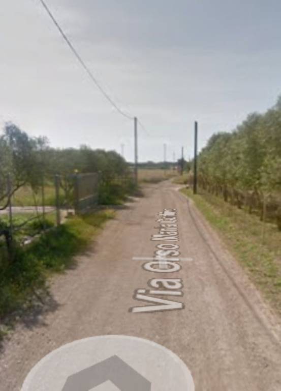 immagine annuncio 2 di 11