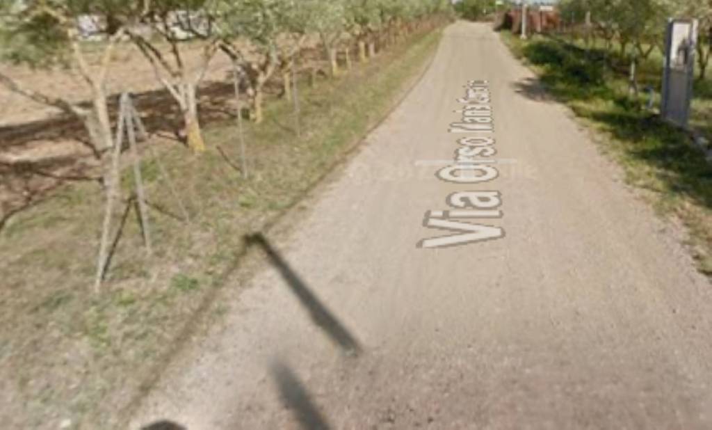 immagine annuncio 4 di 11