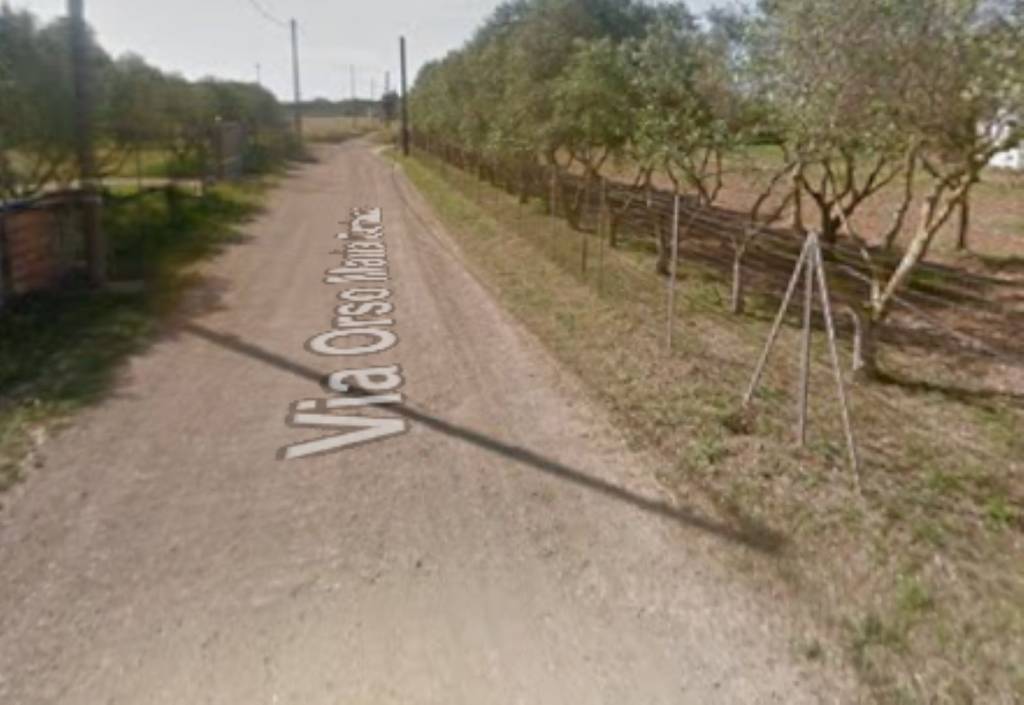 immagine annuncio 10 di 11