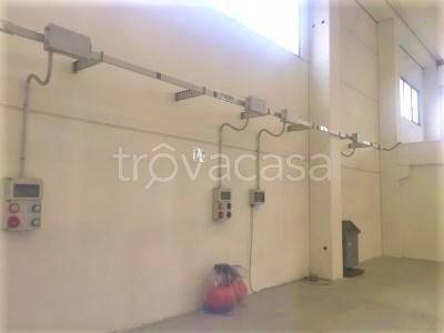 immagine annuncio 2 di 8