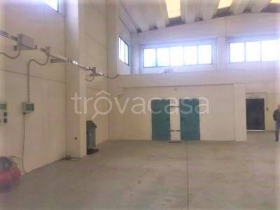 immagine annuncio 3 di 8