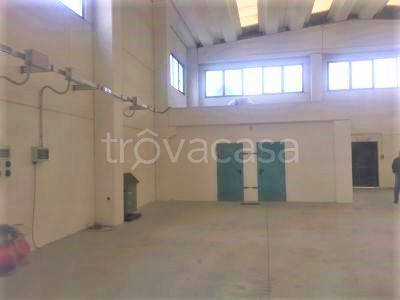 immagine annuncio 4 di 8