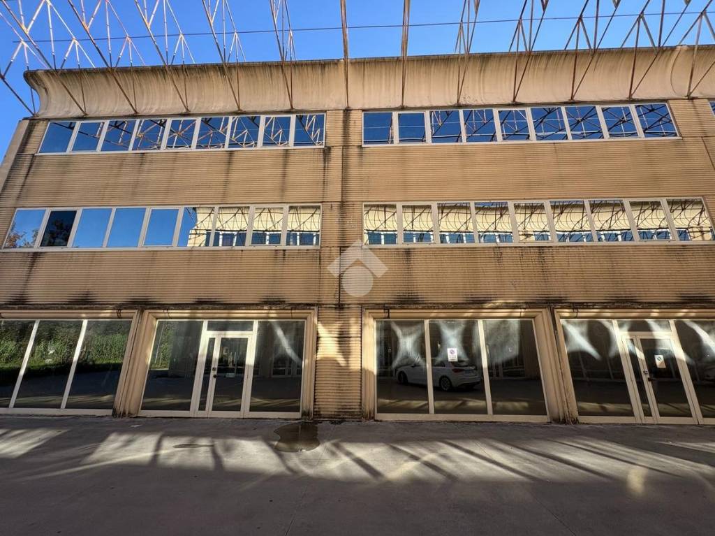 immagine annuncio 2 di 14